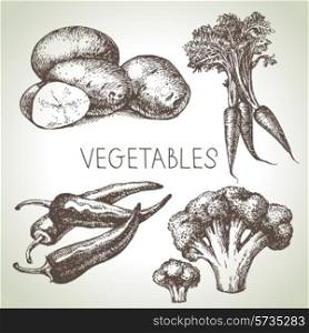 Hand drawn sketch vegetable set. Eco foods.Vector illustration