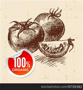 Hand drawn sketch vegetable tomato. Eco food background.Vector illustration
