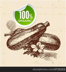 Hand drawn sketch vegetable zucchini. Eco food background.Vector illustration