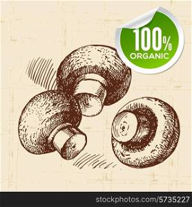 Hand drawn sketch vegetables mushrooms. Eco food background.Vector illustration