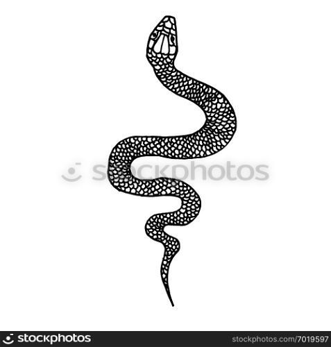 Hand drawn snake illustration in doodle style. Design element for poster, card, t shirt. Vector illustration