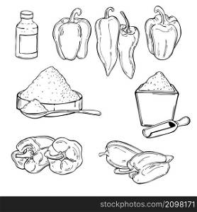 Hand drawn spice paprika. Vector sketch illustration.. Spice paprika. Vector illustration.