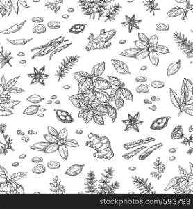 Hand drawn spices pattern. Herbs and vegetables seamless background, Asian and Indian cuisine sketch elements. Vector illustration vintage food poster. Hand drawn spices pattern. Herbs and vegetables seamless background, Asian and Indian cuisine sketch elements. Vector food poster