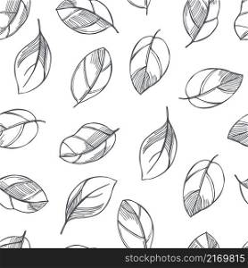 Hand-drawn spicy herbs. Basil(Ocimum basilicum) leaves. Vector seamless pattern . Vector pattern with basil leaves.
