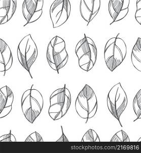 Hand-drawn spicy herbs. Basil(Ocimum basilicum) leaves. Vector seamless pattern . Vector pattern with basil leaves.