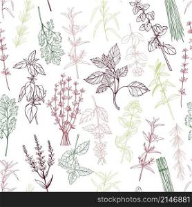 Hand drawn spicy herbs. Vector seamless pattern.. Hand drawn spicy herbs. Vector pattern.