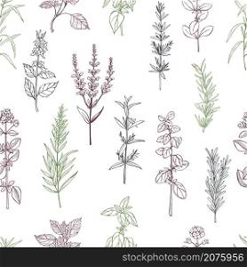 Hand drawn spicy herbs. Vector seamless pattern.. Spicy herbs. Vector pattern