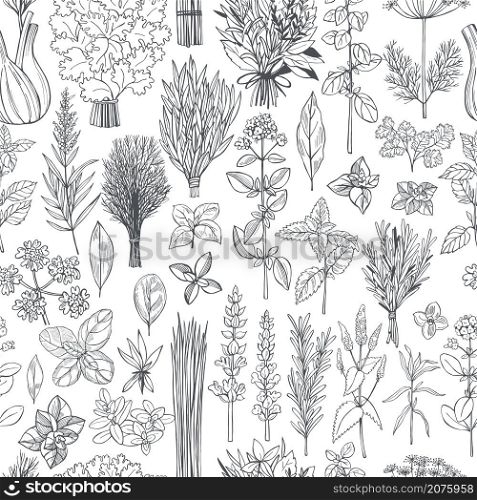 Hand drawn spicy herbs. Vector seamless pattern.. Spicy herbs. Vector pattern