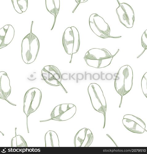 Hand drawn spinach leaves on white background. Vector seamless pattern.