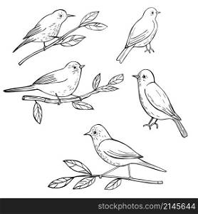 Hand drawn spring birds. Vector sketch illustration.