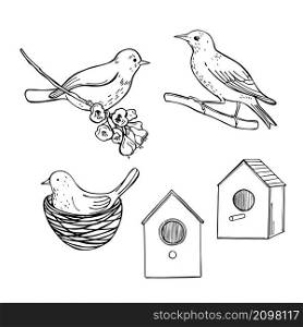 Hand drawn spring birds. Vector sketch illustration.. Spring birds. Vector sketch illustration.