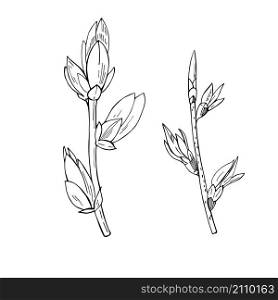 Hand drawn spring branch with blooming leaves.Vector sketch illustration.