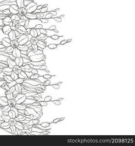 Hand drawn spring flowers. Vector background. Sketch illustration.. Vector background with spring flowers.