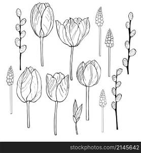 Hand drawn spring flowers. Vector sketch illustration.