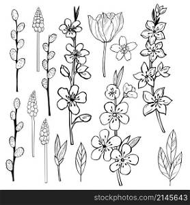 Hand drawn spring flowers. Vector sketch illustration.