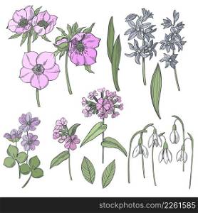 Hand-drawn spring flowers. Vector sketch illustration.. Spring flowers. Sketch illustration.