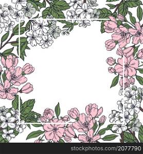 Hand drawn spring ?herry and apple flowers. Vector background. Sketch illustration.. Vector background with spring flowers.
