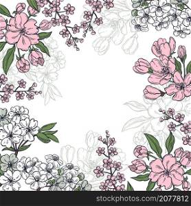 Hand drawn spring ?herry and apple flowers. Vector background. Sketch illustration.. Vector background with spring flowers.