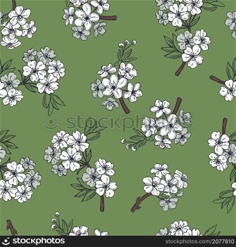 Hand drawn spring ?herry flowers on green background.Vector seamless pattern. . Spring ?herry flowers. Vector pattern.