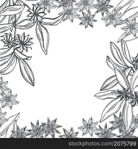 Hand drawn star anise. Vector background. Sketch illustration.. Star anise. Vector background.