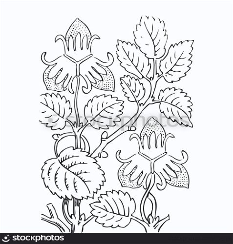 Hand drawn strawberry bush with berries, contour vector illustration, black and white colors