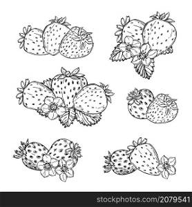 Hand drawn strawberry on white background. Fruits, flowers, leaves. Vector sketch illustration . Hand drawn strawberry. Vector sketch illustration