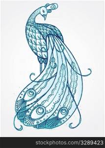 Hand drawn, stylized, blue peacock.