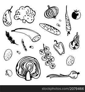 Hand drawn stylized vegetables. Sketch illustration.