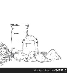 Hand drawn sugar beet and sack bags of sugar . Vector background. Sketch illustration.. Sugar beet and sugar. Vector background.