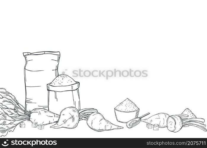 Hand drawn sugar beet and sack bags of sugar. Vector background. Sketch illustration.. Sugar beet and sugar. Vector background.