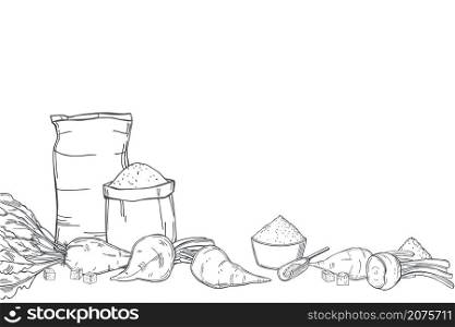 Hand drawn sugar beet and sack bags of sugar. Vector background. Sketch illustration.. Sugar beet and sugar. Vector background.