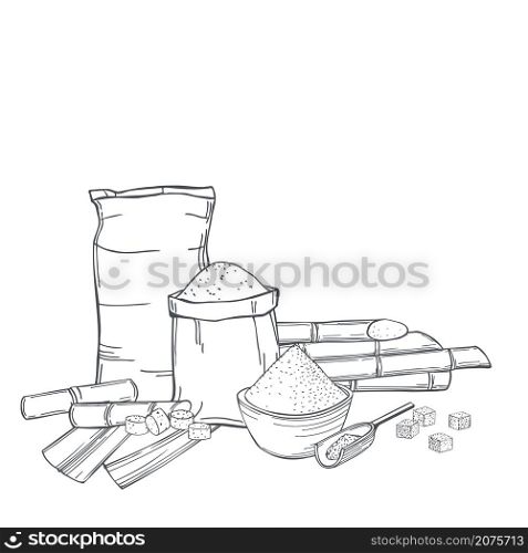 Hand drawn sugarcane and sack bags of sugar. Vector background. Sketch illustration.. Sugarcane and sugar. Vector background.