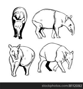 Hand-drawn tapir. Vector sketch  illustration.. Tapir. Sketch  illustration.