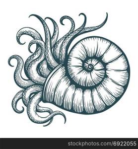 Hand drawn tentacles stick out of the sea shell in tattoo style. Vector illustration.