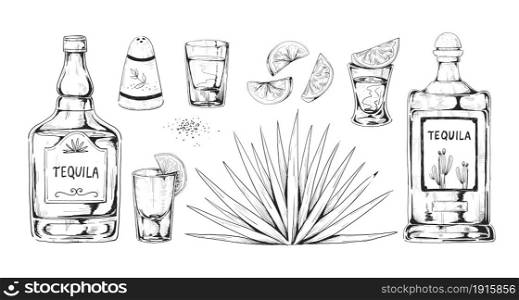 Hand drawn tequila. Agave alcohol drink with bottle. Shot glass and salt shaker. Lemon pieces and succulent plant. Retro Mexican beverage sketch for bar menu. Vector isolated engraving elements set. Hand drawn tequila. Agave alcohol drink with bottle. Shot glass and salt shaker. Lemon and succulent plant. Retro Mexican beverage sketch for bar menu. Vector engraving elements set