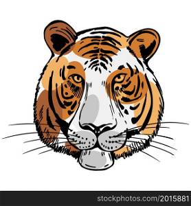 Hand drawn tiger. Vector sketch illustration.