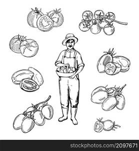 Hand-drawn tomatoes on white background. Farmer with a basket of tomatoes. Vector sketch illustration. . Sketch vegetables. Vector illustration