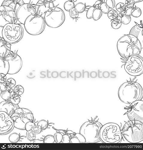Hand drawn tomatoes on white background. Vector background. Sketch illustration. . Sketch vegetables. Vector illustration