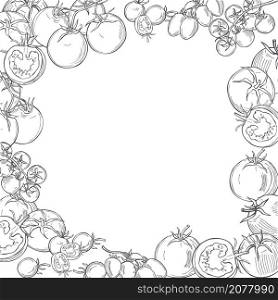 Hand drawn tomatoes on white background. Vector background. Sketch illustration. . Sketch vegetables. Vector illustration