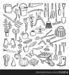 Hand drawn tools for farming and gardening. Doodle of nature environment. Agriculture and farm equipments wheelbarrow and secateurs, farming tools illustration. Hand drawn tools for farming and gardening. Doodle of nature environment