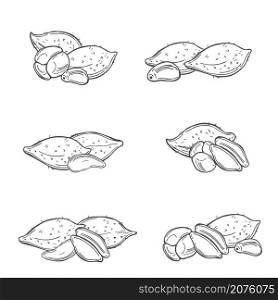 Hand drawn tropical fruits on white background. Salak (Salacca zalacca) or Snake fruit. Vector sketch illustration.. Tropical fruits. Vector illustration
