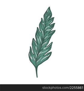 Hand drawn tropical leaves. Floral leaf element isolated. Print, poster design. Vector illustration. Hand drawn tropical leaves. Floral leaf element