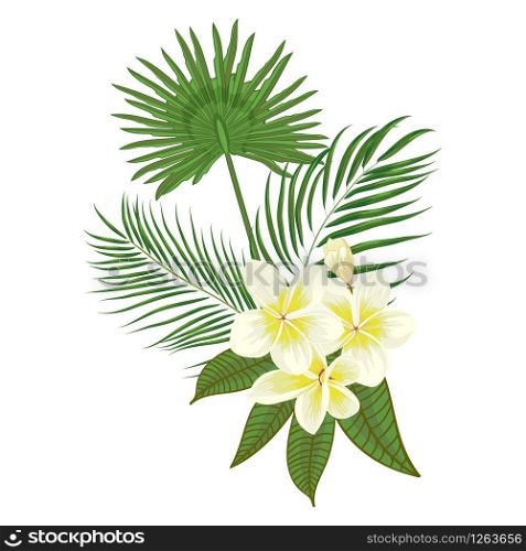Hand drawn tropical palm leaves composition with jungle exotic flower on white background Botanical vector illustration. Fashion textile print, summer floral wallpaper. Vector illustration,. Hand drawn tropical palm leaves and frangipani composition with jungle exotic flower on white background Botanical vector illustration