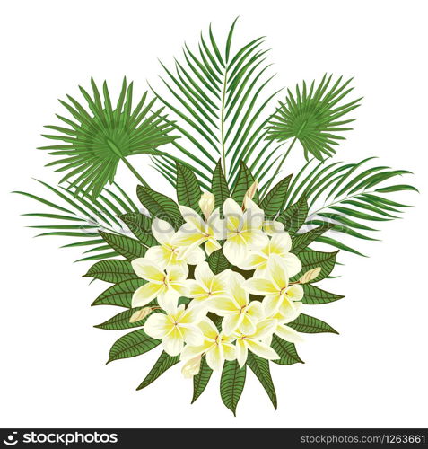 Hand drawn tropical palm leaves composition with jungle exotic flower on white background Botanical vector illustration. Fashion textile print, summer floral wallpaper. Vector illustration,. Hand drawn tropical palm leaves and frangipani composition with jungle exotic flower on white background Botanical vector illustration