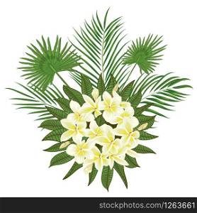 Hand drawn tropical palm leaves composition with jungle exotic flower on white background Botanical vector illustration. Fashion textile print, summer floral wallpaper. Vector illustration,. Hand drawn tropical palm leaves and frangipani composition with jungle exotic flower on white background Botanical vector illustration