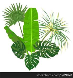 Hand drawn tropical palm leaves composition with jungle exotic flower on white background Botanical vector illustration. Fashion textile print, summer floral wallpaper. Vector illustration,. Hand drawn tropical palm leaves composition with jungle exotic flower on white background Botanical vector illustration