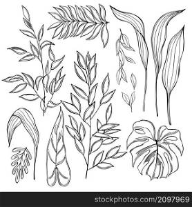 Hand drawn tropical plants on white background. Vector sketch illustration. Hand drawn tropical plants.