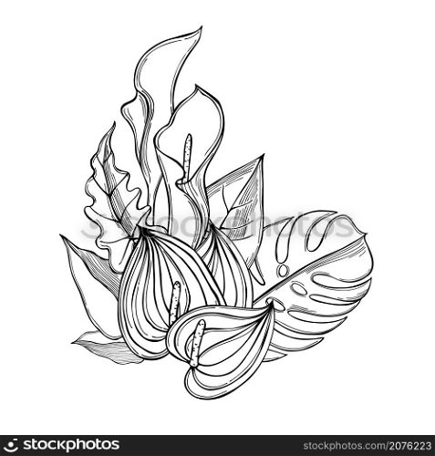 Hand drawn tropical plants. Vector sketch illustration.. Tropical plants. Vector illustration.