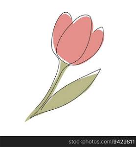 Hand drawn tulip isolated on white background. Vector illustration