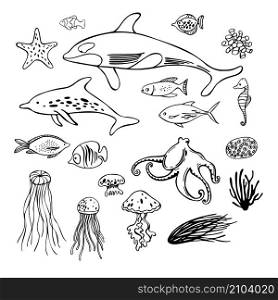 Hand drawn underwater world. Vector sketch illustration. Hand drawn underwater world. Vector illustration